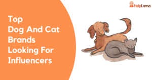 Dog And Cat Brands Looking For Pet Loving Influencers