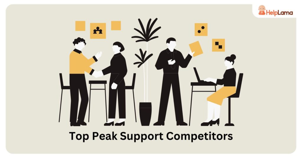Top 10 Peak Support Competitors in 2025