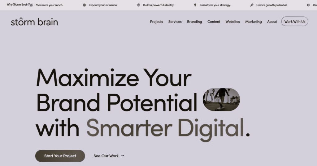 digital marketing agency in california Storm Brain
